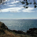 Where'd the whales go?