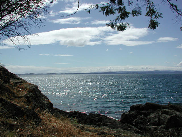 Where'd the whales go?