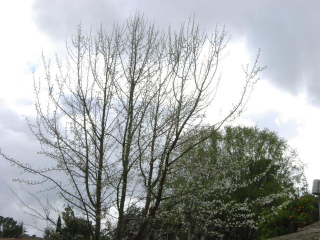 ISO 400 after denoiser filtering