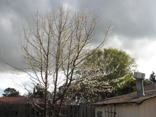 S80 Iso 400 Taken at a different time in the day